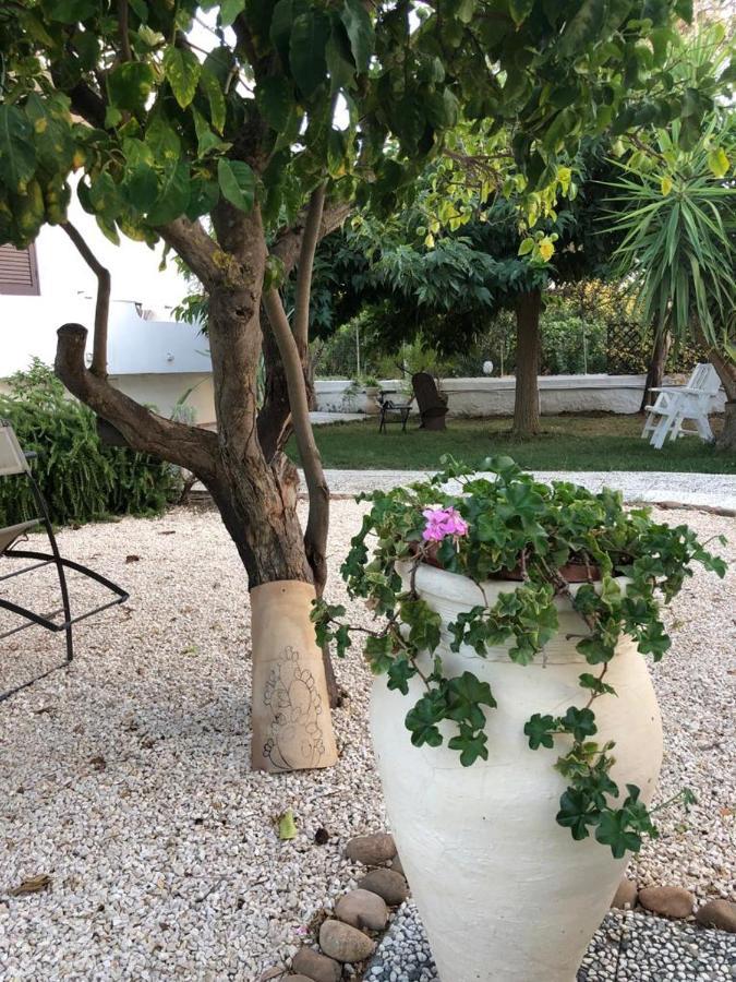 Il Gelso Nella Valle Agrigento Exterior foto